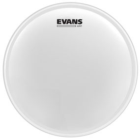 evansUV1drumhead