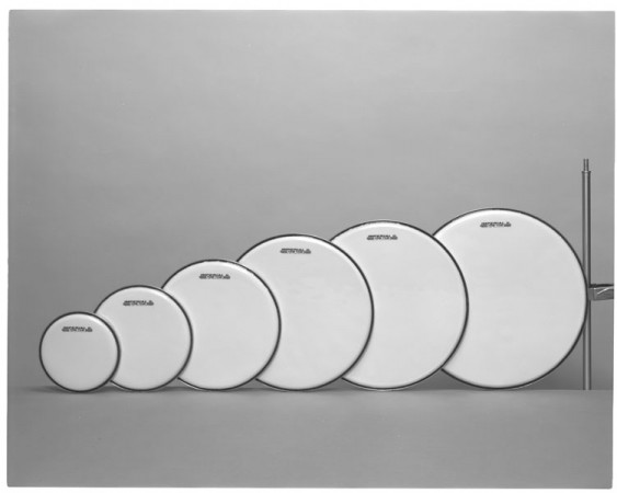 Aquarian 10'' Imperial II White Drumhead