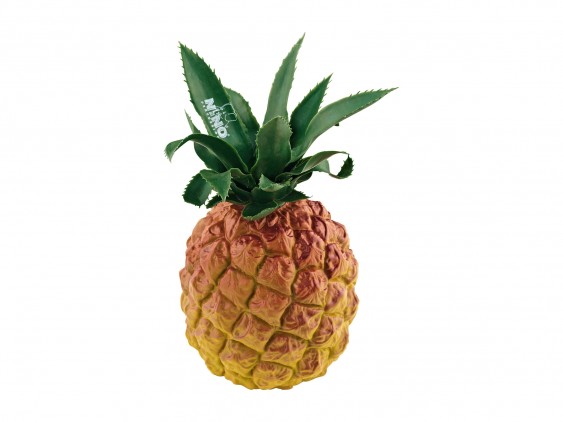 NINO Fruit Shaker Pineapple