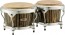 Pearl Havana Series Bongos, #644 Liquid Gold